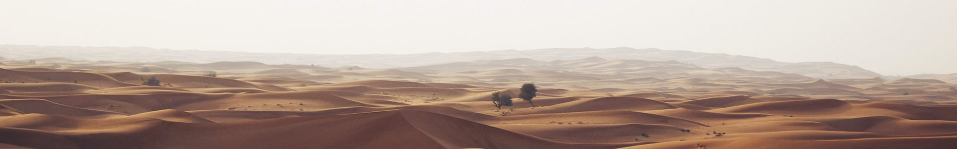 еó޹˾